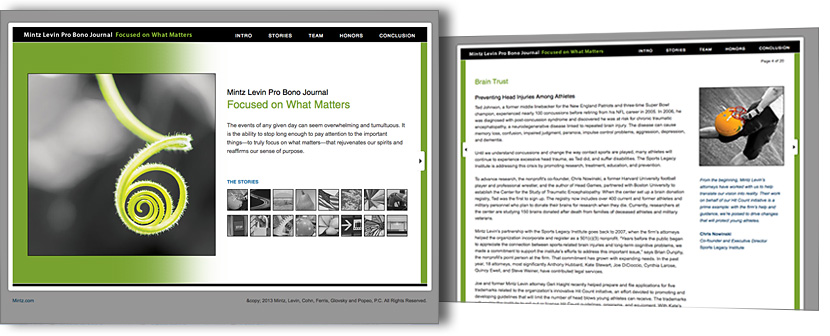 Mintz Levin Pro Bono Journal